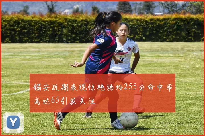 锡安近期表现惊艳场均255分命中率高达65引发关注