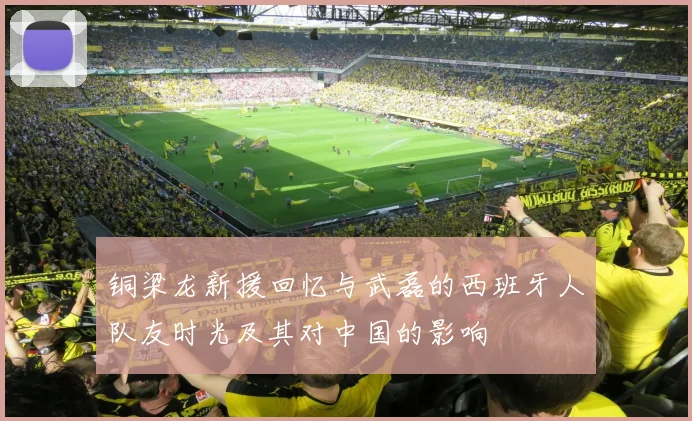 铜梁龙新援回忆与武磊的西班牙人队友时光及其对中国的影响