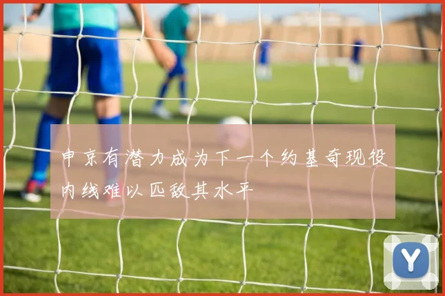 申京有潜力成为下一个约基奇现役内线难以匹敌其水平