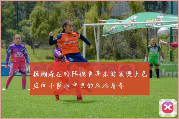 杨瀚森在对阵德鲁蒂米时表现出色应向小萨和申京的风格看齐